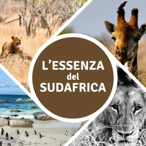 Da Cape Town al parco Kruger