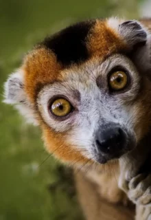 Jambotour_Madagascar (5)