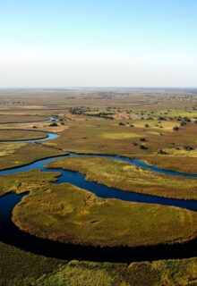 Okavango E Parco Chobe 1 2-min