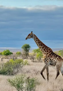 Sudafrica_Jambotour_2025 (11)