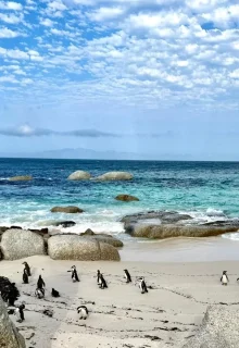 Sudafrica_Jambotour_2025 (5)