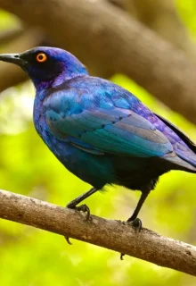 Sudafrica_Jambotour_2025 (6)