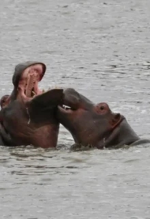 Sudafrica_Jambotour_2025 (8)