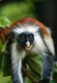 Zanzibar_Jambotour_2023 (10)